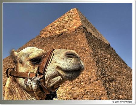 egipto-viajes.jpg